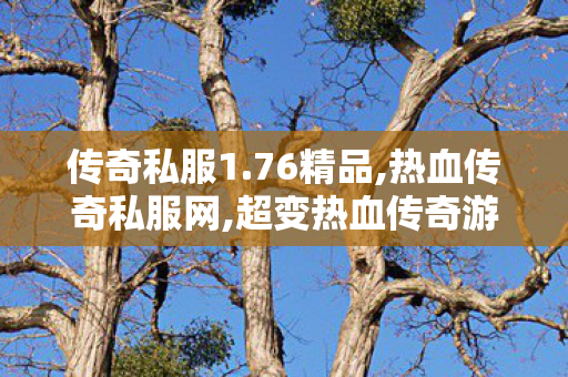 传奇私服1.76精品,热血传奇私服网,超变热血传奇游戏价格解析，全面、详细、实惠的购买指南