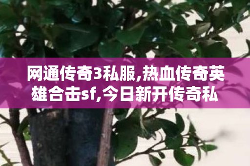 网通传奇3私服,热血传奇英雄合击sf,今日新开传奇私服游戏攻略与全面解析