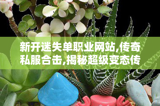 新开迷失单职业网站,传奇私服合击,揭秘超级变态传奇sf网站，深度解析与全面指南