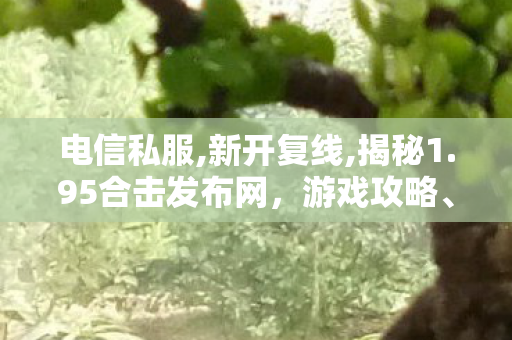 电信私服,新开复线,揭秘1.95合击发布网，游戏攻略、特1玩法与玩家心得分享