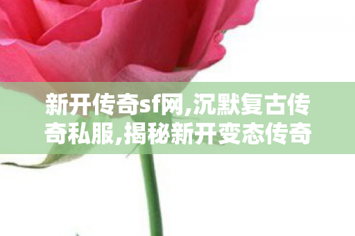 新开传奇sf网,沉默复古传奇私服,揭秘新开变态传奇发布网，全面解析、详细介绍与SEO优化策略