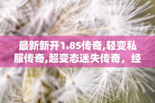 最新新开1.85传奇,轻变私服传奇,超变态迷失传奇，经典重现，热血传奇之旅