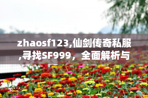 zhaosf123,仙剑传奇私服,寻找SF999，全面解析与详细指南