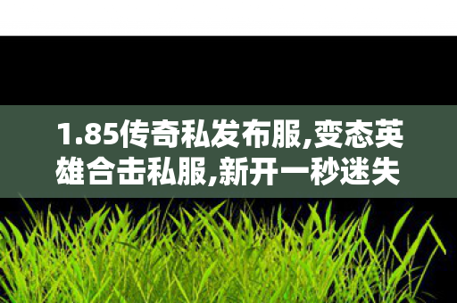 1.85传奇私发布服,变态英雄合击私服,新开一秒迷失传奇，经典重现，传奇再启