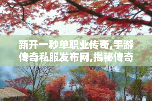 新开一秒单职业传奇,手游传奇私服发布网,揭秘传奇游戏，热血传奇变态私服之探索与解析