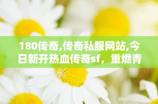 180传奇,传奇私服网站,今日新开热血传奇sf，重燃青春，传奇再续！