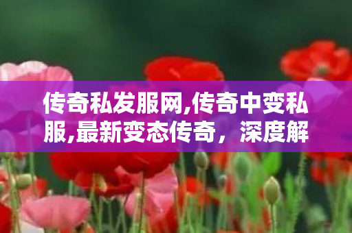 传奇私发服网,传奇中变私服,最新变态传奇，深度解析与全面指南