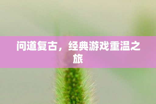 问道复古，经典游戏重温之旅