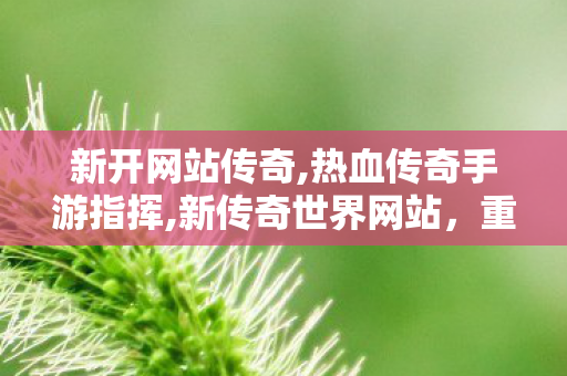 新开网站传奇,热血传奇手游指挥,新传奇世界网站，重燃热血传奇，探索未知的冒险之旅