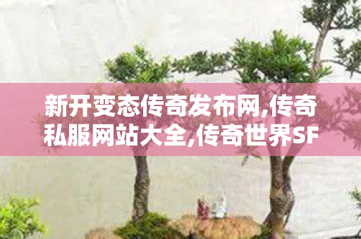 新开变态传奇发布网,传奇私服网站大全,传奇世界SF新服发布网，经典重现，热血传奇再启程