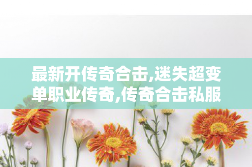 最新开传奇合击,迷失超变单职业传奇,传奇合击私服，经典重现，热血再燃的私服游戏体验