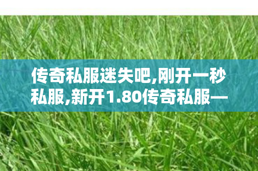 传奇私服迷失吧,刚开一秒私服,新开1.80传奇私服——全面解析与详细介绍