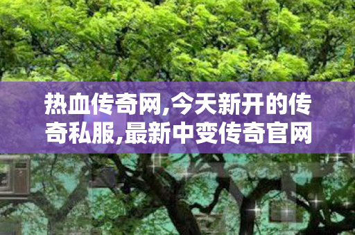 热血传奇网,今天新开的传奇私服,最新中变传奇官网地址解析，全面、详细、丰富的游戏体验