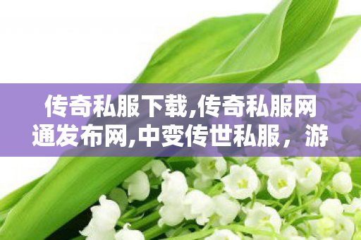 传奇私服下载,传奇私服网通发布网,中变传世私服，游戏体验的深度探索