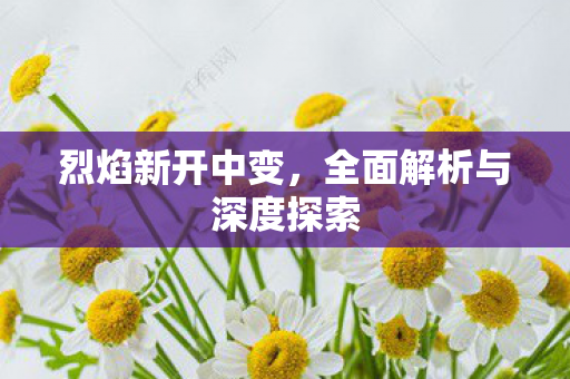 烈焰新开中变，全面解析与深度探索