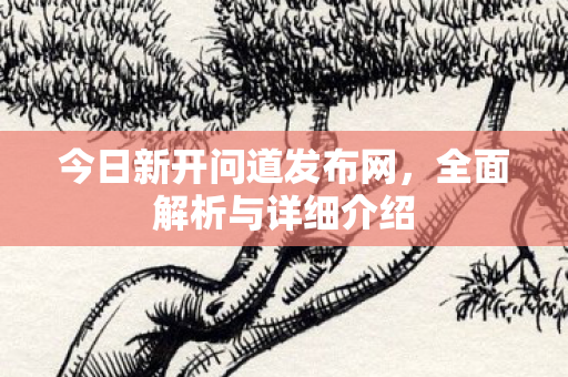 今日新开问道发布网，全面解析与详细介绍