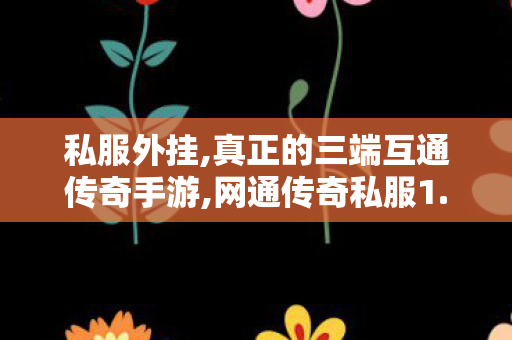 私服外挂,真正的三端互通传奇手游,网通传奇私服1.85，经典重现，热血传奇之旅