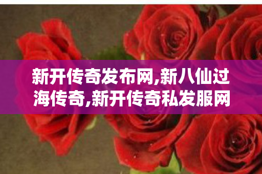 新开传奇发布网,新八仙过海传奇,新开传奇私发服网，游戏体验与1防范