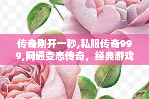 传奇刚开一秒,私服传奇999,网通变态传奇，经典游戏体验的深度解析