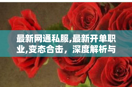 最新网通私服,最新开单职业,变态合击，深度解析与全面应用指南