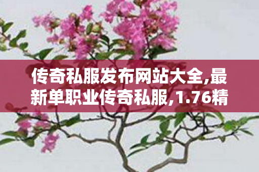 传奇私服发布网站大全,最新单职业传奇私服,1.76精品，全面解析与深度探索