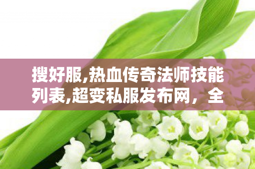 搜好服,热血传奇法师技能列表,超变私服发布网，全面解析与11分析