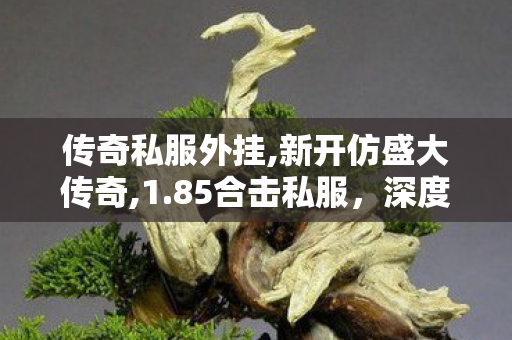 传奇私服外挂,新开仿盛大传奇,1.85合击私服，深度解析与全面了解
