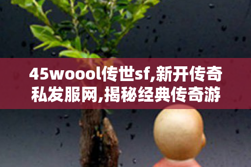 45woool传世sf,新开传奇私发服网,揭秘经典传奇游戏，1.76传奇