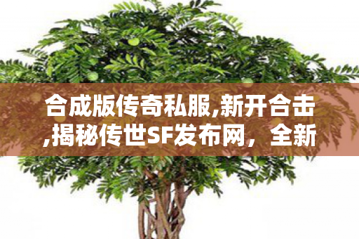 合成版传奇私服,新开合击,揭秘传世SF发布网，全新传奇游戏体验，打造你的传奇人生