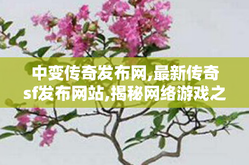 中变传奇发布网,最新传奇sf发布网站,揭秘网络游戏之变态私服，全面解析、特点、1与防范措施