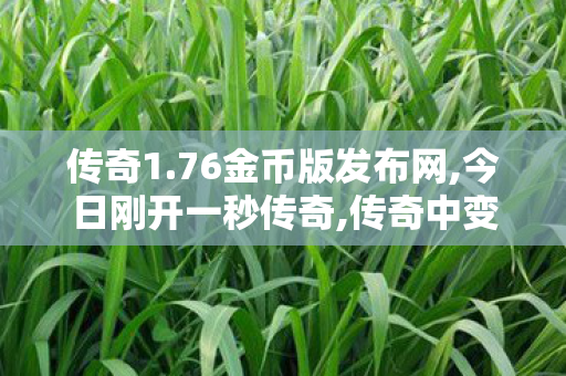 传奇1.76金币版发布网,今日刚开一秒传奇,传奇中变私服发布网，游戏私服安全与合规探讨
