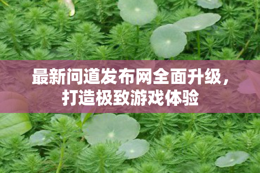最新问道发布网全面升级，打造极致游戏体验