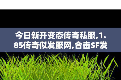 今日新开变态传奇私服,1.85传奇似发服网,合击SF发布网，经典传奇游戏，重温热血战斗