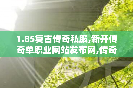 1.85复古传奇私服,新开传奇单职业网站发布网,传奇私发服1.85，经典重现，热血传奇再启程