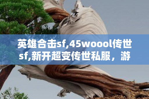 英雄合击sf,45woool传世sf,新开超变传世私服，游戏体验与1边界的探讨