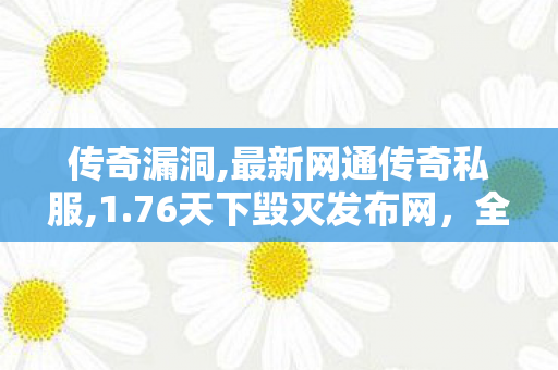 传奇漏洞,最新网通传奇私服,1.76天下毁灭发布网，全面解析与详细指南