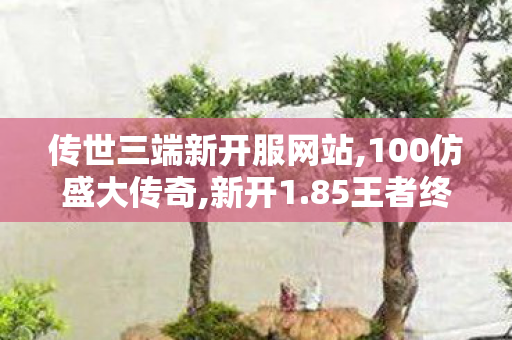 传世三端新开服网站,100仿盛大传奇,新开1.85王者终极，经典传奇游戏全新体验