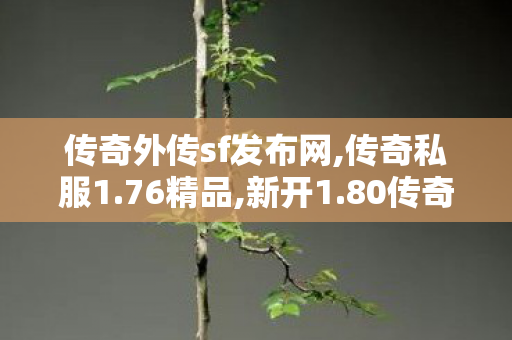 传奇外传sf发布网,传奇私服1.76精品,新开1.80传奇网，经典重现，传奇之旅再启