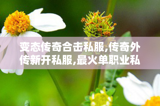 变态传奇合击私服,传奇外传新开私服,最火单职业私服解析，全面了解与选择攻略