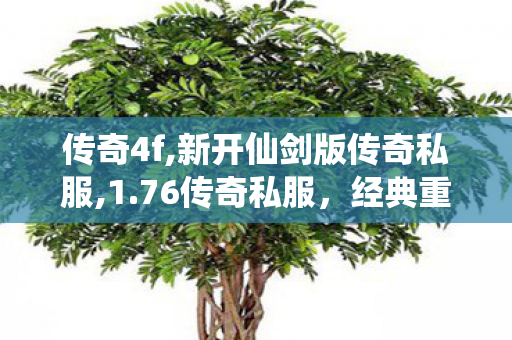 传奇4f,新开仙剑版传奇私服,1.76传奇私服，经典重温，热血传奇再启