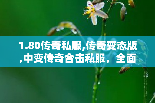 1.80传奇私服,传奇变态版,中变传奇合击私服，全面解析与详细介绍