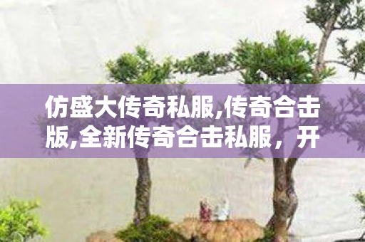 仿盛大传奇私服,传奇合击版,全新传奇合击私服，开启你的热血传奇之旅