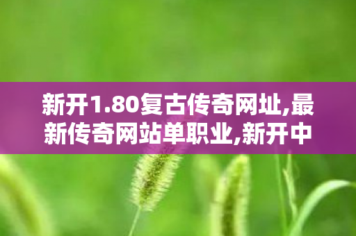 新开1.80复古传奇网址,最新传奇网站单职业,新开中变传世私服——全面解析与详细介绍