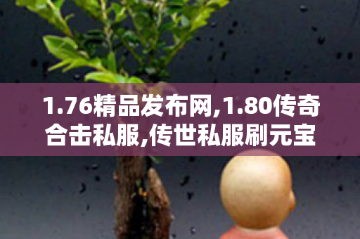1.76精品发布网,1.80传奇合击私服,传世私服刷元宝外挂的危害与防范措施