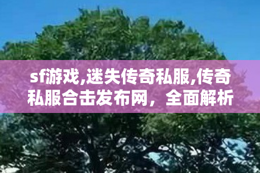 sf游戏,迷失传奇私服,传奇私服合击发布网，全面解析与合规指南
