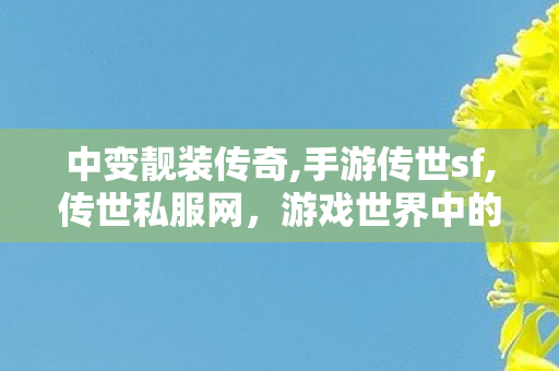 中变靓装传奇,手游传世sf,传世私服网，游戏世界中的1之选