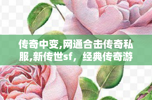 传奇中变,网通合击传奇私服,新传世sf，经典传奇游戏深度解析与全面指南