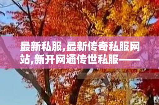 最新私服,最新传奇私服网站,新开网通传世私服——全面解析与详细介绍