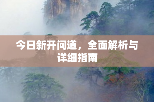 今日新开问道，全面解析与详细指南