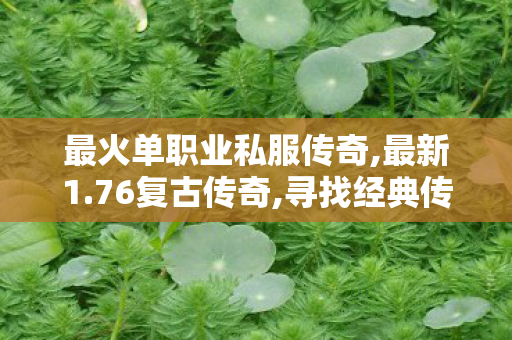 最火单职业私服传奇,最新1.76复古传奇,寻找经典传世SF网，游戏体验与安全指南